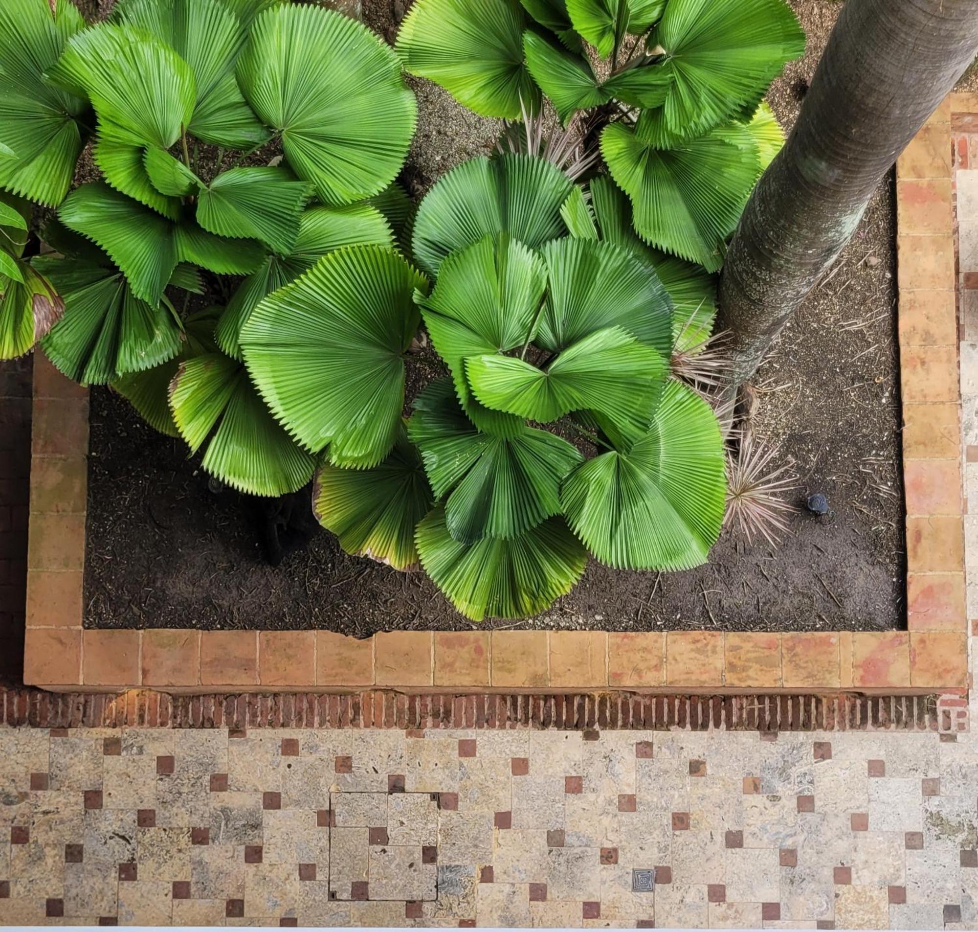 Heritage Residences Signature Collection 聖多明哥 外观 照片